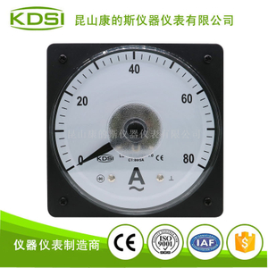 指針式廣角度交流電流表 LS-110 AC80/5A