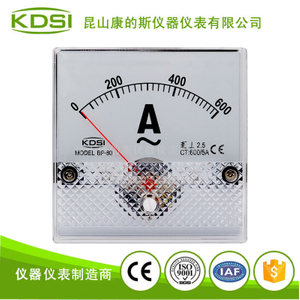 指针式交流电流表 BP-80 AC600/5A