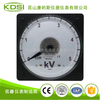 指针式圆形电压表LS-110 DC10V 5kV